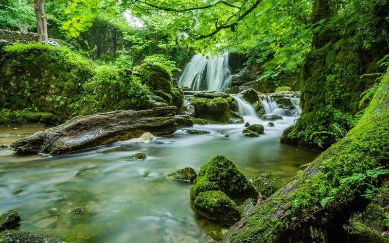 高效高标准自动化